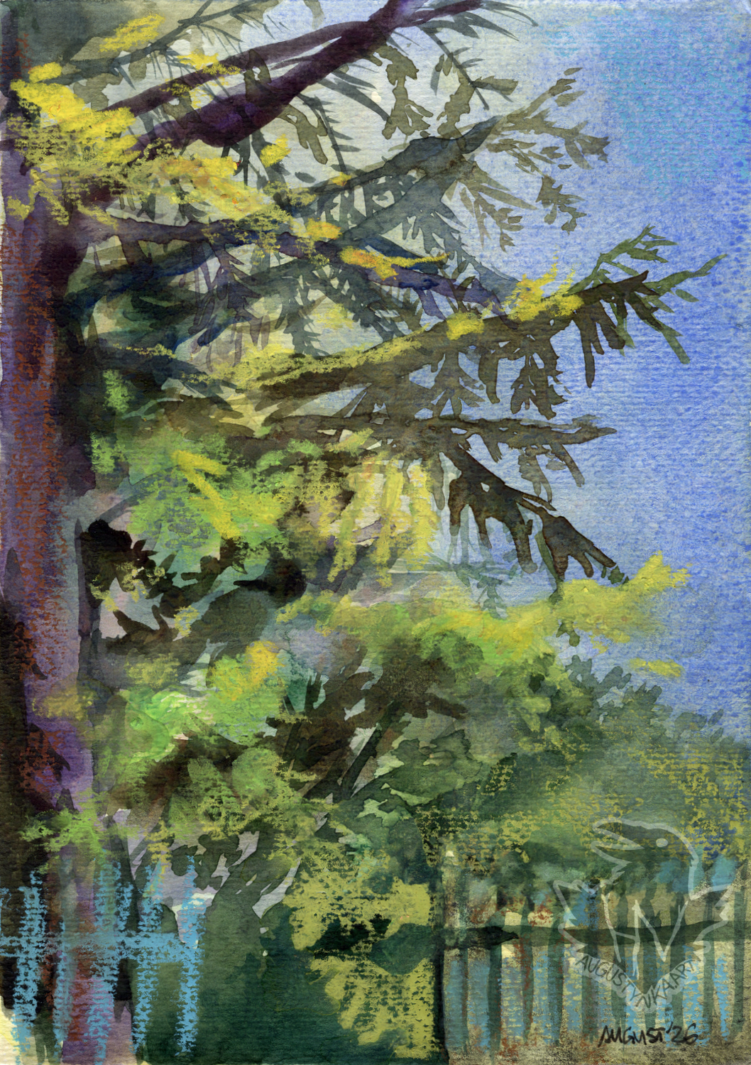 A watercolor painting of a tall coniferous tree with a rest on the forest in the background. There's a small fence in front of it.